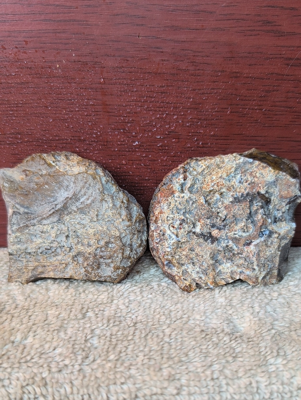 Agate #18 - Picture 7 of 7